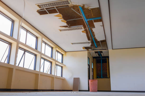 Best Water damage restoration near me  in Damascus, MD