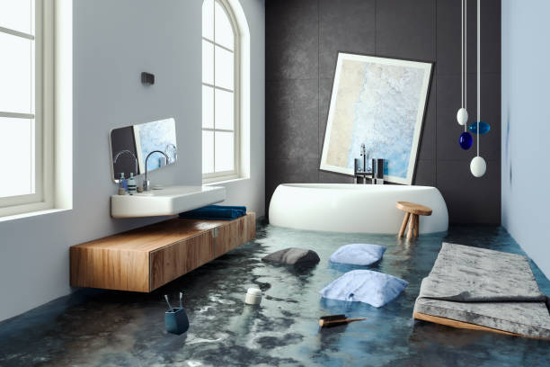 Best Water damage repair service  in Damascus, MD
