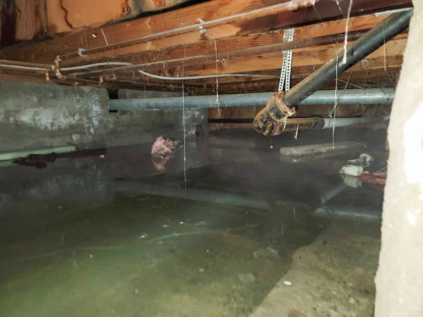 Best Water damage restoration near me  in Damascus, MD