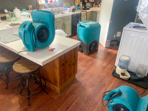 Best Carpet water damage restoration  in Damascus, MD
