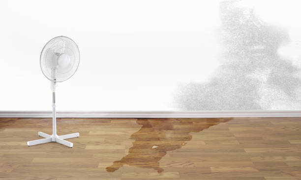 Best Water damage restoration near me  in Damascus, MD