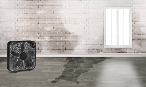 Best Emergency water damage restoration  in Damascus, MD