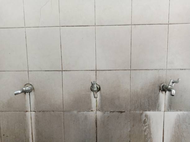 Best Water damage cleanup near me  in Damascus, MD
