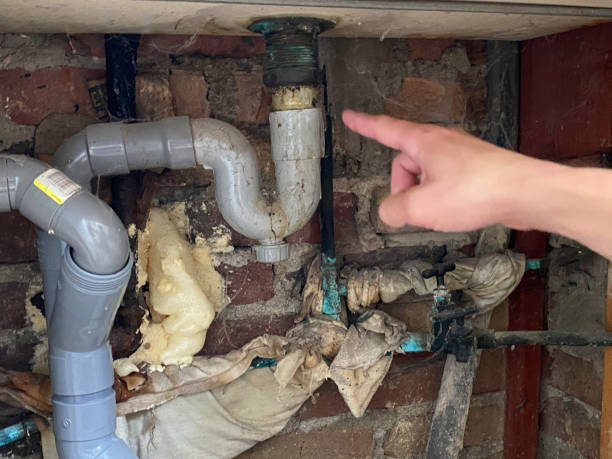Best Professional water damage repair  in Damascus, MD