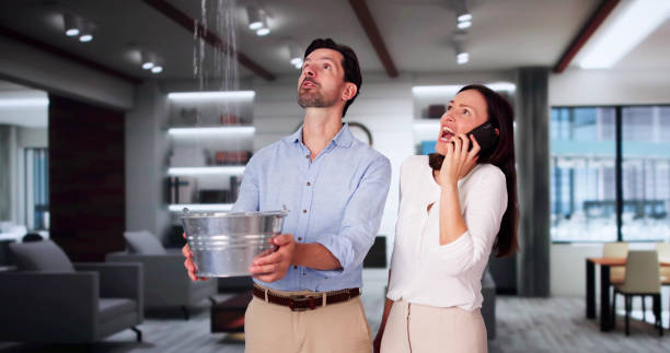 Best Water damage restoration experts  in Damascus, MD
